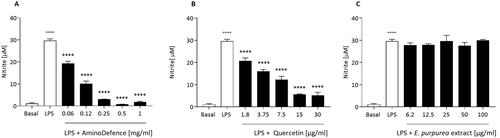 Figure 5. Effect of AminoDefence, quercetin and E. purpurea extract on NO release by LPS-stimulated macrophages. RAW264.7 cells were incubated for 24 h at 37 °C with Lipopolysaccharides (LPS) [1 µg/ml] and the indicated increasing concentrations of the formulation AminoDefence (A), quercetin (B) or E. purpurea extract (C). NO release in the culture media was quantified through Griess test assay. Experiments were performed in triplicate and data are expressed as mean ± SD. Statistical analyses were performed using the one-way ANOVA coupled with Dunnett’s multiple comparison test. A value of p < 0.05 was considered statistically significant. ****p < 0.0001 vs LPS-treated macrophages; °°°°p < 0.0001 vs macrophages in basal conditions.