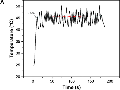 Figure S5 (A) Temperature profile for PDO+PD fiber with 808 nm, 2 W/cm2 pulse laser of 1 second “off” and 2 seconds “on” after initial 9 seconds of continuous irradiation. (B and C) Combined photothermal and chemotherapy treatment for PDO+PD-BTZ nanofiber after 72 hours of treatment using control pulse laser after 3 minutes assessed by LIVE/DEAD® assay with CT26 cancer cells (green on the left is the remaining LIVE cells, whereas red on the right represent DEAD cells).Abbreviations: PD, polydopamine; PDO, polydioxanone; BTZ, bortezomib.