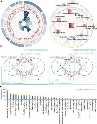 Figure 4. Multidimensional mining analysis diagram of P. emblica L. efficacy. (a) category clustering of efficacy. Left: number of efficacies encapsulated in different categories. Right: visual network of different efficacy-focused categories. (b) multiple venn diagram of cancer and other disease categories. The results are shown separately for clarity. (c) the alteration frequency of targets in different cancer cell lines.