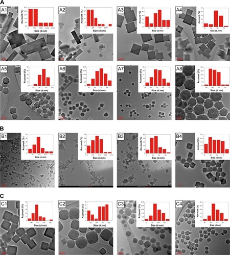 Figure 1 Preparation and TEM images of PB particles.Notes: (A) When the concentration of H+ solution varies from 0 to 4M (A1: 0 M; A2: 0.001 M; A3: 0.01 M; A4: 0.1M; A5: 0.5 M; A6: 1M; A7: 2 M; A8: 4 M). (B) When the concentration of PVP varies from 0.005-0.2 g/mL (B1: 0.005 g/mL; B2: 0.025 g/mL; B3: 0.05 g/ mL; B4: 0.2 g/mL). (C) When the mass of iron source (K3[Fe(CN)6]) varies from 32-518 mg (C1: 32 mg; C2: 64 mg; C3: 132 mg; C4: 518 mg). Insets represent the particle size distribution.Abbreviations: TEM, Transmission electron microscopy; PB, Prussian blue; PVP, polyvinylpyrrolidone.