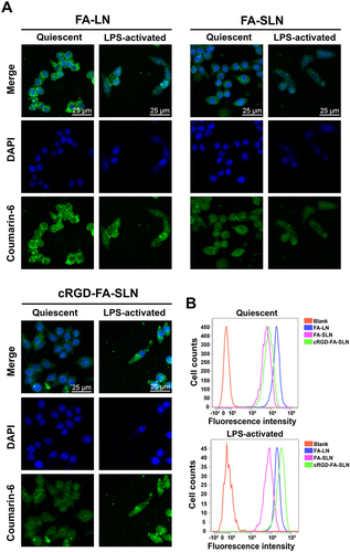 Figure 5 Cellular uptake detection. (A) Cellular uptake of FA-LN, FA-SLN, and cRGD-FA-SLN by quiescent and lipopolysaccharide-activated RAW264.7 macrophages (M1 type), as determined by confocal laser microscopy. (B) Frequency distributions of quiescent and M1-type RAW264.7 cells treated with different formulations.