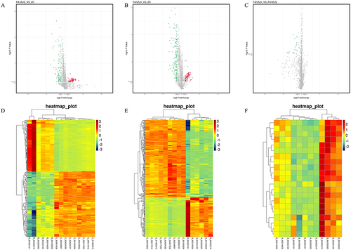 Figure 4 Unsupervised hierarchical cluster analysis of differentially expressed miRNAs before and after PSORI-CM01 treatment. (A) Volcanic map of PSORI-CM01 group before treatment versus the control group; (B) Volcanic map of PSORI-CM01 group after treatment versus the control group; (C) Volcanic map of PSORI-CM01 group after treatment versus PSORI-CM01 group before treatment; (D) Heat map of PSORI-CM01 group before treatment versus the control group; (E) Heat map of PSORI-CM01 group after treatment versus the control group; (F) Heat map of PSORI-CM01 group after treatment versus PSORI-CM01 group before treatment.