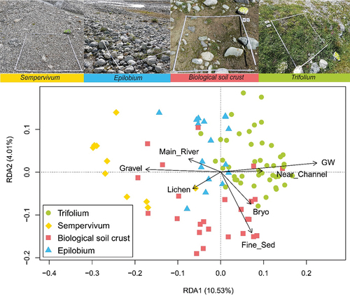 Figure 7. Pictures of each four groups (above) and RDA in scaling 1, based on species composition and constrained by six ecological variables (below): Visual cover of bryophytes (Bryo) and lichens (Lichen), proportion of fine sediments (Fine_Sed) and gravel (Gravel), distance to the main river (Main_River), distance to the nearest Channel (Near_Channel), and the depth of groundwater table (GW; negative values as in Figure 5). The first constrained axis explained 10.5 percent of the total variance and the second explained 4.0 percent.
