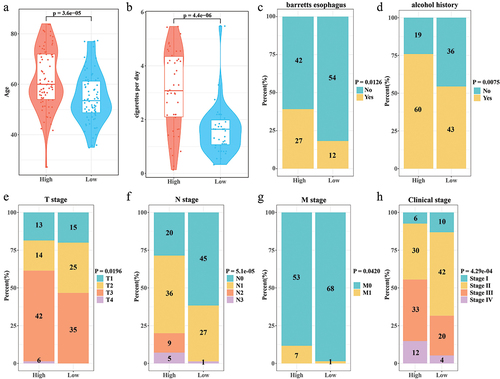 Figure 3. Correlation of RiskScore with clinical phenotypes. (a) Age distribution of samples in the high/low RiskScore. (b) Distribution of the number of cigarettes smoked per day for samples in the high/low RiskScore. (c) Barretts esophagus pathology for samples in high/low RiskScore. (d) The alcohol history of the samples in the high/low RiskScore. (e-h) T stage, N stage, M stage, Clinical stage distribution of samples in high/low RiskScore.