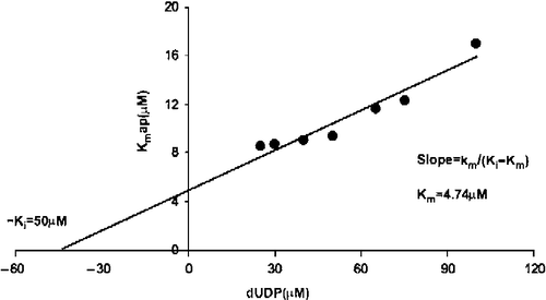 Figure 3.  Inhibition by dUMP of dUDP hydrolysis. The Ki value for product (dUMP) inhibition was calculated with the Kmapp value obtained at different dUMP concentrations (5 to 100 μM). The Ki for dUMP was 50 μM and the real Km 4.74 μM.