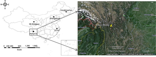 Fig. 1 Location of the Shangri-La station and the four World Meteorological Organization/Global Atmosphere Watch (WMO/GAW) stations (Mt. Waliguan global station, Shangdianzi, Lin'an and Longfengshan regional station). Currently, these stations are running with in situ CO2/CH4 observation systems.