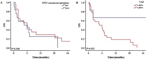 Figure 8. The 2-year OS of patients with TP53 mutations in different situations. A: Patients with and without concurrent mutations in addition to TP53 mutations. B: OS of TP53-mutated patients VAF ≥40% and <40%.