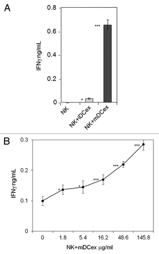 Figure 5. DCex activate NK cells. (A) iDCex and more potently mDCex induce NK cell IFNγ secretion. One hundred μg of purified iDCex and mDCex were mixed with aNK cells, and incubated for 24 h. (B) DCex induce NK cell IFNγ secretion in a dose-dependent manner. Graded amounts of purified mDCex were mixed with aNK cells, and incubated for 24 h. After incubation, cell-free supernatants were separated and assessed for the presence and quantity of IFNγ using ELISA. Data are from a representative experiment of 2 experiments performed. They are means ± SD of triplicates IFNγ ng/0.5 × 106NK cells/mL. Asterisks indicate statistical significance of data differences: in (A), NK vs. NK+iDCex (*, p < 0.05), NK vs. NK+mDCex (***, p < 0.001), and NK+iDCex vs. NK+mDCex (***, p < 0.001); and in (B), NK (0) vs. NK+mDCex (*, p < 0.05; ***, p < 0.001).