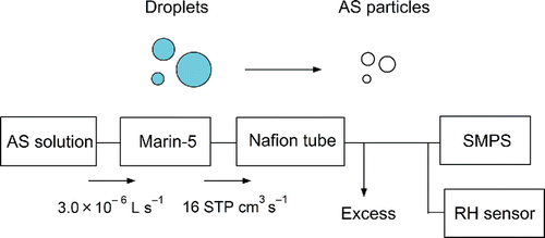 Figure 7. Experimental setup for estimating the extraction efficiency of the pneumatic nebulizer (Marin-5) and the size distribution of the generated droplets of ammonium sulfate (AS) solution. SMPS, scanning mobility particle sizer spectrometer; RH, relative humidity.