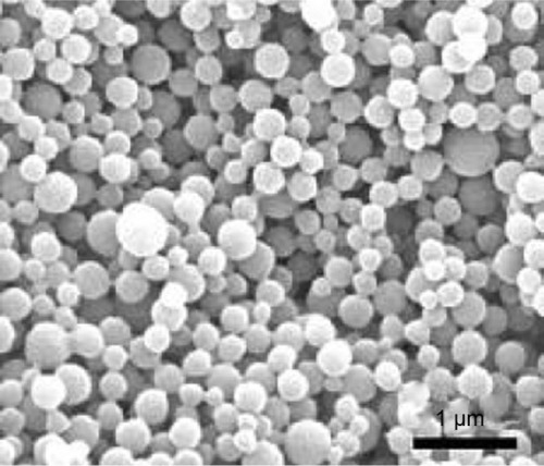 Figure 1 Field emission scanning electron photomicrograph of ITZ-loaded TPP NPs.Note: The results showed that ITZ-loaded TPP NPs are round, and the size is around 260 nm.Abbreviations: ITZ, itraconazole; NP, nanoparticle; TPP, TPGS-b-(PCL-ran-PGA).