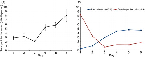 Fig. 1.  Extracellular vesicle levels are dependent upon cell culture time. HEK293 cells were grown in exosome-depleted 10% FBS-DMEM for 1–6 days. Cell-conditioned media were harvested and enriched for EVs at indicated time points. (a) Nanoparticle tracking analysis of the total number of particles after cumulative days in culture. (b) Number of live cells and the number of particles secreted per live cell over time in culture. Quantity of particles per cell on days 2–6 differed significantly from day 1, p<0.001. Live cell count reached steady state at day 4. Quantification of particles and cell counts were measured in triplicates for each day. Data are expressed as mean±s.d.