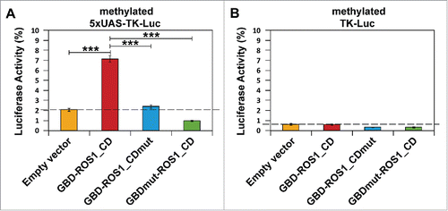 Figure 3. Targeted reactivation of luciferase activity by transient expression of GBD-ROS1_CD. Cells were co-transfected with the indicated effector construct and either the targeted (A) or non-targeted (B) version of the in vitro-methylated reporter plasmid. Luciferase activity, determined 48 h after co-transfection, is shown relative to that detected after co-transfection with empty vector and unmethylated reporter. Values are means ± SE (error bars) from three independent transfection experiments. Asterisks indicate statistically significant differences (P < 0.001; Student's unpaired t-test).