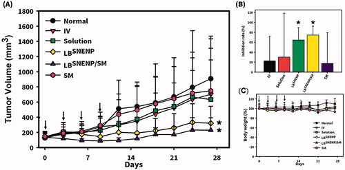 Figure 6. Antitumor effects of the oral administration of CPT11 alone in water by injection, SM alone solubilized in LBSNENP (PC90C10P0), CPT11 solubilized in LBSNENP (PC90C10P0), and CPT11 combined with SM in LBSNENP (PC90C10P0) with two control groups of the oral administration of a PBS solution and i.v. administration of a CPT11 solution were evaluated in an MIA PaCa-2 xenograft mouse model. (A) Tumor growth curves; (B) tumor weights measured at the end of the study; (C) profiles of body weight changes of mice after administration. Each point represents the mean ± S.D. of three determinations (n = 5). *Significant (p < .05).