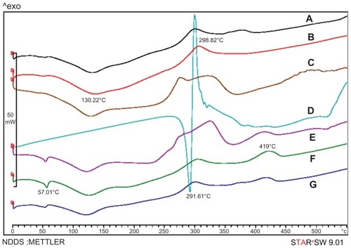 Figure 6 Differential scanning calorimetry thermograms of (A) GC-loaded Chi nanoparticles, (B) blank Chi nanoparticles, (C) physical mixture of GC and blank Chi nanoparticles, (D) GC, (E) physical mixture of GC and Chi–PF nanoparticles, (F) blank Chi–PF nanoparticles, and (G) GC-loaded Chi–PF nanoparticles.Abbreviations: Chi, chitosan; GC, gemcitabine; PF, Pluronic F®127.