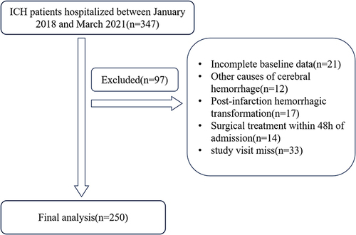 Figure 1 Flowchart of patient inclusion and analysis.