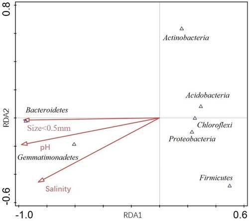 Figure 4. Redundancy analysis of dominant microorganism in phylum level by microplastics and physicochemical factors.