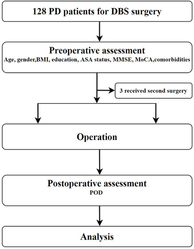 Figure 1 Flow chart of the study.