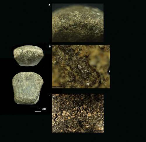 Figure 4. Microwear traces on the cutting edge of the battle axe: (a) worn-out cutting edge exhibiting edge damage and intense rounding; (b) micro-polish with smooth texture, pitted appearance and a sinuous morphology, 200x; (c) layer of gravel sediment used as filling material following the thin section sampling of the object (scale bar 1 mm) (photo taken courtesy of Wiltshire Museum, Devizes)