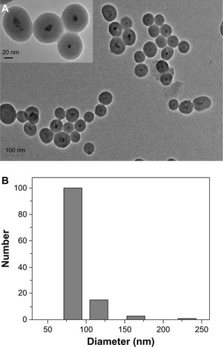 Figure 5 TfDMP characteristics.Notes: (A) Transmission electron micrograph of TfDMP. (B) Size distribution plot of TfDMP, obtained by dynamic light scattering.Abbreviation: TfDMP, doxorubicin-coupled dual-function magnetic nanoparticle with immobilized transferrin.