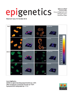 Cover image for Epigenetics, Volume 8, Issue 10, 2013