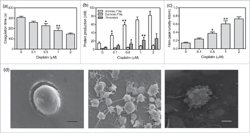 Figure 4. The effect of cisplatin on PCA of platelets. Platelets were isolated from healthy subjects and treated with cisplatin of different concentrations for 1 h in vitro. Coagulation time (a), intrinsic/extrinsic FXa and thrombin (b) as well as fibrin (c) formation were evaluated. Data are present as mean ± SD, *P < 0.05 vs untreated, **P < 0.01 vs untreated. (c) After 1µM cisplatin treatment of 1 h, quiescent platelets (left), activated platelets (middle) and apoptotic platelets with MPs (right) were shown by scanning microscopy images. Bars represent 1 µm.