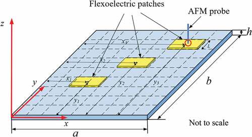 Figure 1. Simply supported plate with multiple flexoelectric actuators.