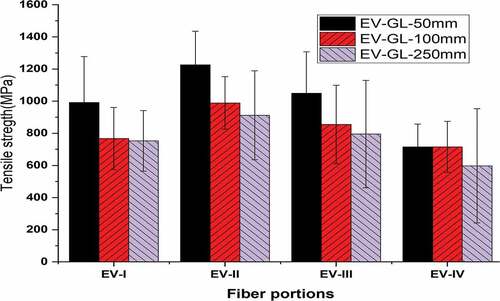 Figure 4. Effect of Gauge length and fiber portions on Tensile strength (MPa).