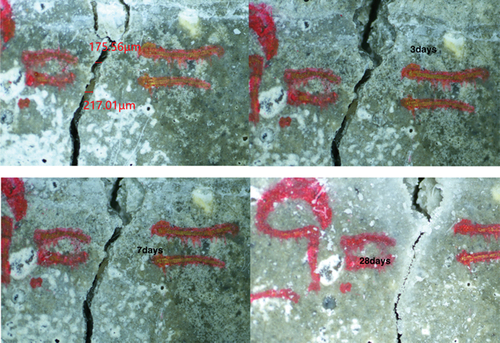 Figure 7. Self-healing of basalt fibre mortar mixed with SAP only at 3, 7 and 28 days.