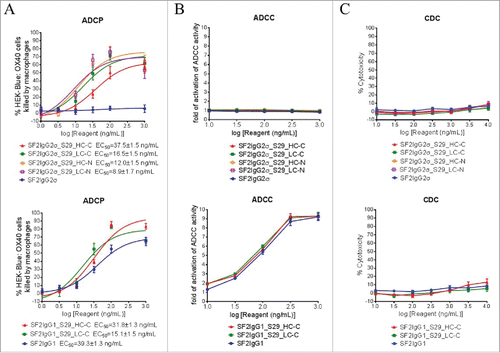 Figure 7. Effector functions of SF2 antibodies and mAbtyrins. (A) ADCP activities of SF2 antibodies and mAbtyrins. Increasing concentrations (1 to1000 ng/mL) of SF2 antibodies and mAbtyrins with IgG2σ or IgG1 Fc were incubated with GFP positive HEK-Blue: OX40 cells co-cultured with differentiated macrophages and the phagocytosis of GFP positive target cells were evaluated by flow cytometry assay. The percentages of GFP positive HEK-Blue: OX40 cells eliminated, which reflected the ADCP activities, were plotted against the concentrations of test agents (Data expressed as mean ± SEM, n ≥4). (B) ADCC activities of SF2 antibodies and mAbtyrins. Increasing concentrations (10 to 1000 ng/mL) of SF2 antibodies and mAbtyrins were incubated with HEK-Blue: OX40 cells co-cultured with effectors cells and the ADCC reporter bioassays were performed. The folds of activation of ADCC activities were plotted against the concentrations of test agents (Data expressed as mean ± SEM, n = 4). (C) CDC activities of SF2 antibodies and mAbtyrins. Increasing concentrations (10 to10000 ng/mL) of SF2 antibodies and mAbtyrins were incubated with HEK-Blue: OX40 cells in the presence of rabbit complement. The CDC activities were quantitated by measuring LDH activity released from the cytosol of lysed HEK-Blue: OX40 cells and expressed as percent cytotoxicity relative to that lysed by Triton X-100 (Data expressed as mean ± SEM, n = 3).