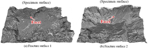 Figure 26. Plan views of the both fracture surfaces of the HS series (Ti64). (a) Fracture surface 1 (b) Fracture surface 2 [Citation68].