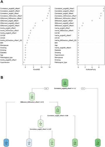 Figure 3 Predictive model visualization based on ML-based algorithm. (A) RFC model. (B) DT model. The candidate factors associated with myometrial invasion were ordered via RFC algorithm (A, B) prediction node, and weight was allocated via DT algorithm.