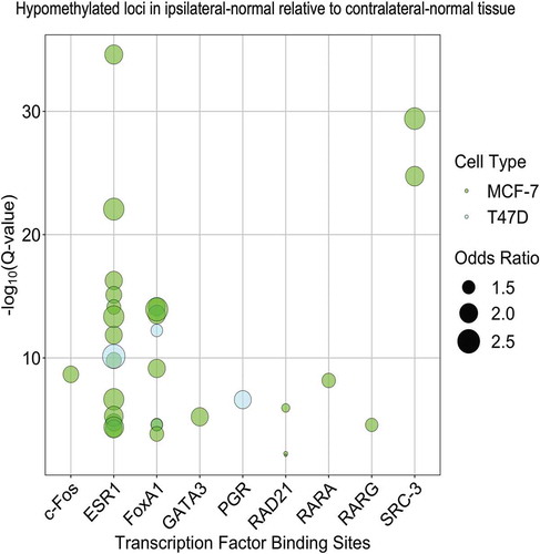 Figure 4. Enrichment of transcription factor binding sites in MCF-7 and T47D cell lines as assessed in LOLA using Cistrome data among the 4,942 CpG loci found to be significantly (p < 0.01) hypomethylated in ipsilateral-normal relative to contralateral-normal tissue.