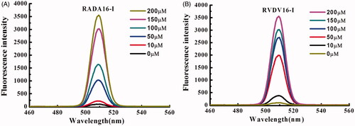 Figure 4. Fluorescence spectra of EM in different concentration of RADA16-I and RVDV16-I. (A) RADA16-I; (B) RVDV16-I. [EM] = 6.0 μg/mL, [RADA16-I] = [RVDV16-I] = 0–200 μM.