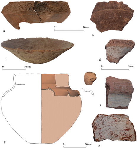 Figure 2. Cayo ceramics showing (a) Meillacoid/Chicoid (Greater Antilles) influences and (b-g) Koriabo (mainland) (Figure by Menno Hoogland).