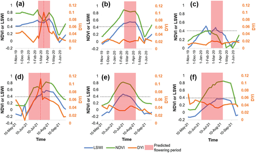 Figure 4. Temporal features of rapeseed and other crops. One parcel of each crop was selected for analysis. (a) Winter rapeseed, (b) winter wheat, and (c) water field in Jingzhou; (d) spring rapeseed, (e) barley, and (f) corn in Qinghai. The red dashed line indicates that the time when the DYI reaches a maximum is equal to the time when the NDVI reaches a minimum; the black dashed line is the threshold of the NDVI and LSWI.