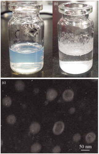 Figure 3. Photographic images (a, b) and TEM micrograph (c) of the optimal RPV-LNCs formulations.