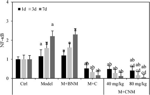 Figure 21. The expression of NF-κB in rats’ brain tissue 1, 3, and 7 d after treatment. (a, b, c, and d meant the significant difference in contrast to Ctrl, Model, M + C, and M + CNM (40 mg/mL) groups, respectively, p < 0.05.).