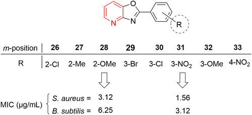 Figure 20 Oxazolo[4,5-b]pyridines containing antibacterial agents with remarkable activity.