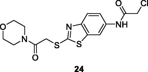 Figure 14. Morpholine based acetamide benzothiazole 24.