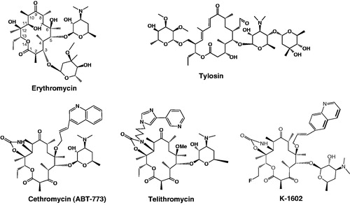 Figure 1. Chemical structures of macrolides erythromycin, tylosin, cethromycin, telithromycin, and Kosan-1602.