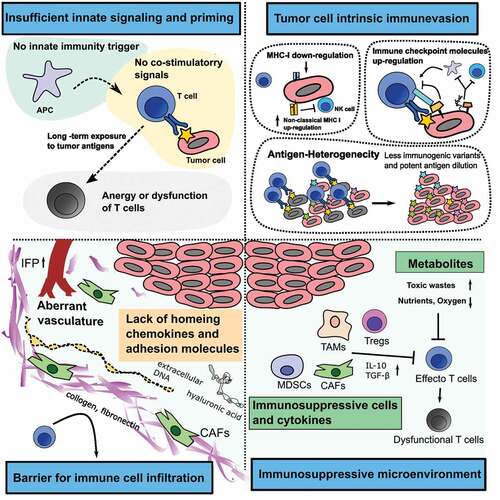 Figure 4. Barriers to immunotherapy. (1) Insufficient immune signaling and priming, (2) tumor cell-intrinsic immune evasion, (3) barriers to immune cell infiltration, and (4) immunosuppressive tumor microenvironment.