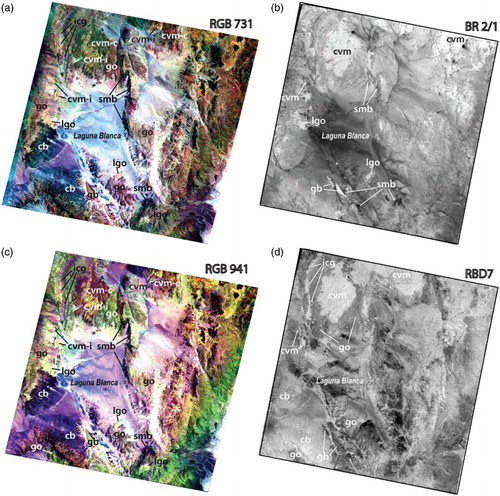 Figure 1. (a) ASTER RGB 731 false colour composite; (b) ASTER BR 2/1, underlining with high value (light grey) lithologies with surface oxides alteration; (c) ASTER RGB 941 false colour composite; (d) ASTER BDR 7 [(6+8)/7] showing with low value (dark grey) lithologies with Al–OH phyllosilicates. Cb = basaltic–andesitic lava flows (Vicuña Pampa volcanic complex), icg = ignimbrites (Cerro Galan volcanic complex), cvm-i = ignimbrites-tuffs (Pucarilla–Cerro Tipillas volcanic complex), cvm-c = basaltic–andesitic lava flows (Pucarilla–Cerro Tipillas volcanic complex), lgo = leucogranitoid rocks (Ordovician intrusive complex), go = undifferentiated metagranitoid rocks (Ordovician intrusive complex), gb = orthogneiss (Precambrian metamorphic complex), smb = Schist and metabasite (Precambrian metamorphic complex).