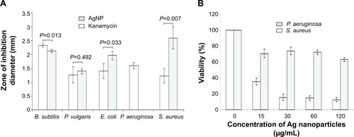 Figure 5 Antibacterial and Anti-biofouling activity of silver nanoparticles.Notes: (A) Representative results of antimicrobial activity of nanoparticles against Gram-positive Bacillus subtilis and Staphylococcus aureus and Gram-negative Escherichia coli, Proteus vulgaris, and Pseudomonas aeruginosa. (B) Anti-biofouling activity of silver nanoparticles against Gram-negative P. aeruginosa and Gram-positive S. aureus. The figure depicts a graph showing percent viability of the P. aeruginosa (statistically significant P=1.72×10−6 [ANOVA] and P<0.01 [t-test]) and S. aureus (P=4.64×10−11 [ANOVA] and P<0.0001 [t-test]) against the varying concentrations of silver nanoparticles.Abbreviation: ANOVA, analysis of variance.