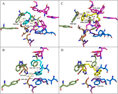 Figure 4. Docking of TcAChE (PDB: 1ACJ; A and C) and hBChE (PDB: 4BDS; B and D) with 1-nonylindoline-2,3-dione (4i, cyan) and 1-nonyl-1H-indole (5i, yellow). Active site residues of TcAChE include the catalytic triad (Ser200, His440, Glu327; gold), anionic site (Trp84, Tyr130, Phe330, and Phe331; green), oxyanion hole (Gly118, Gly119, Ala201; purple), acyl pocket (Phe288, Phe290; blue), and PAS (Tyr70, Asp72, Tyr121, Ser122, Trp279, Tyr334; magenta). Active site residues of hBChE include the catalytic triad (Ser198, His438, Glu325; gold), anionic site (Trp82, Tyr128, Phe329; green), oxyanion hole (Gly116, Gly117, Ala199; purple), acyl pocket (Trp231, Leu286, Val288; blue), and PAS (Asp70, Tyr332; magenta). Orange dashes indicate π-π stacking interactions, and yellow dashes indicate H-bonding interactions. All distances shown are in Å. O, N, and H atoms are shown in red, blue, and white, respectively.