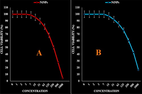 Figure 7. The anti-ovarian cancer properties (cell viability (%)) of NiNPs (concentrations of 0–1000 µg/mL) against TOV-21G (A) and OV-90 (B) cell lines.