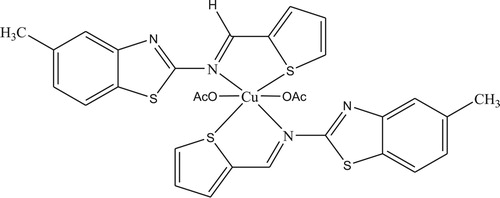Figure 8. The proposed structure of Cu(II) complex [CuL2(OAc)2].