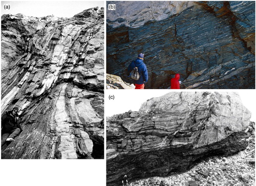 Fig. 3  Examples of shear zones and thrusts in the Kottasberge (a) steep shear zone in bimodal metavolcanic rocks at Trapezberg, sampling site of KJ12, view in north-eastern direction; (b) ductile thrust zone at Brandstorpnabben, view in south-western direction, the hanging wall moved to the right; (c) ductile thrust zone at Vikenegga, view in south-western direction, the hanging wall moved to the right.