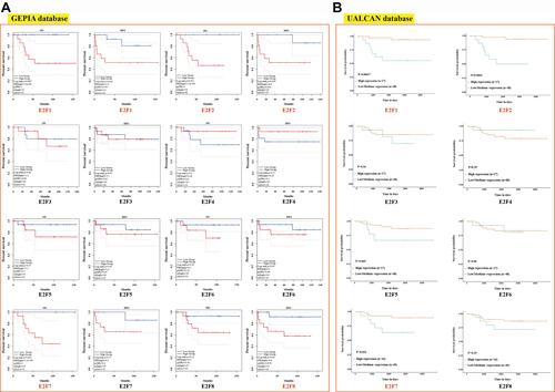 Figure 3 Prognostic role of E2Fs expression in chRCC patients (A: GEPIA, B) UALCAN).