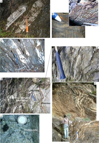 Figure 6. Field examples of lithotypes and structures belonging to the Stilo-Pazzano Complex. (a) Isoclinal folding of the original S0 surface highlighted by the development of an axial plane foliation. (b–b′) Centimeter- to submillimetre-wavelength crenulation on S1 surface. (c) Unrooted lenses of isoclinal folds indicating an extensional shearing. (d–d′) Sub-vertical foliation facilitating granite intrusion. (e) Centimetric static andalusite porphyroblast occurring near the plutonic contact. (f–f′) Asymmetric folding with axis parallel to the preserved primary contact with main batholite intrusion.