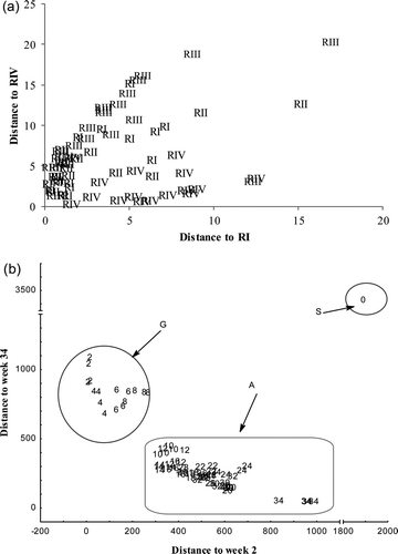 Figure 2. Comman's graph for tequila samples classification. (a) According to barrel origin (RI: Allier, RII: Limousin, RIII: Tronçais, and RIV: Centre de la France), and (b) According to age (8–34 weeks). Figura 2. Gráfica de Comman para la clasificación de muestras de tequila. (a) Según el origen de las barricas (RI: Allier, RII: Limousin, RIII: Tronçais y RIV: Centro de Francia), y (b) Según la edad (8–34 semanas).